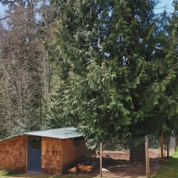 Frolander Bay Resort – Tiny Cottages | hotel Vancouver | Trivago