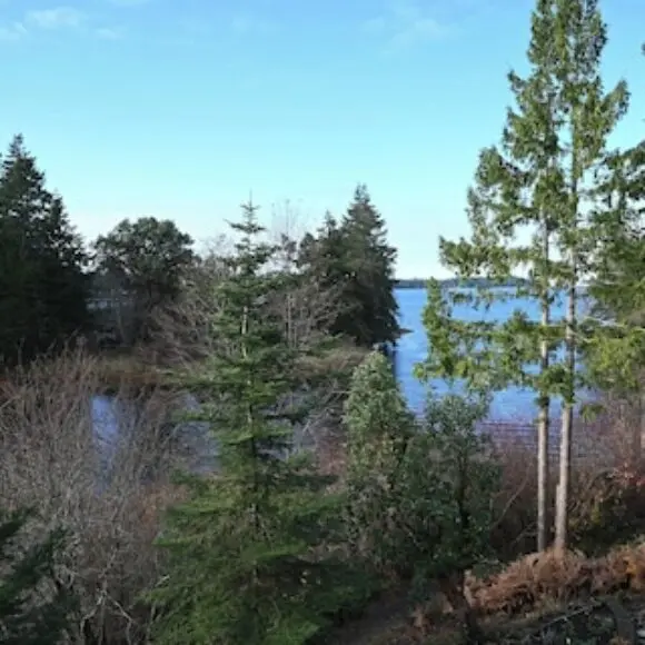 Charming 2-bedroom Condo With Pool | hotel Vancouver | Trivago