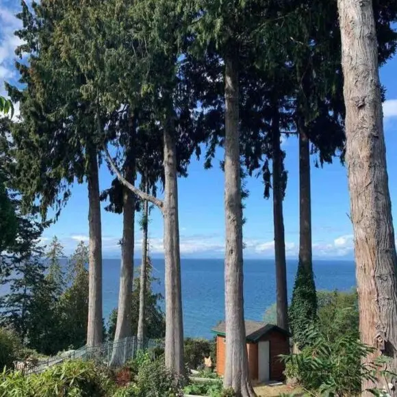Waterfront Eagle Nest | vacation home Vancouver | Booking.com