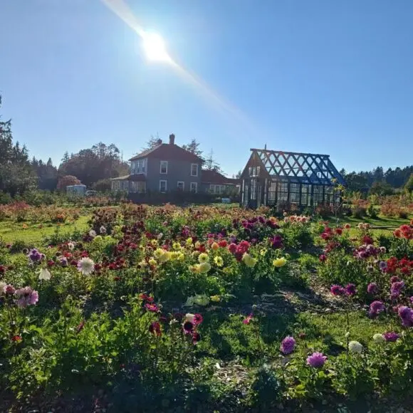 Woodside Farm Country Inn | vacation home Vancouver | Booking.com