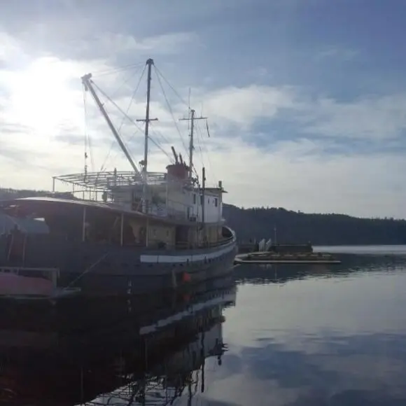 Swept Away Inn | vacation home Vancouver | Booking.com