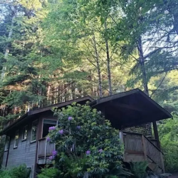 Rainforest Retreat- Bracken Cabin | hotel Vancouver | Trivago