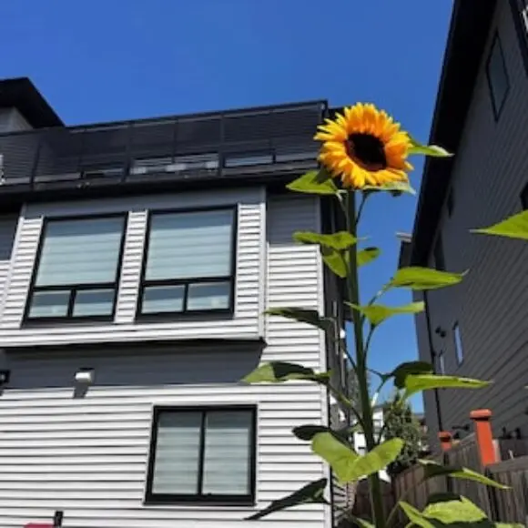 Bright cozy ground Level 2 Bedroom 3 Beds In Downtown | hotel Vancouver | Trivago