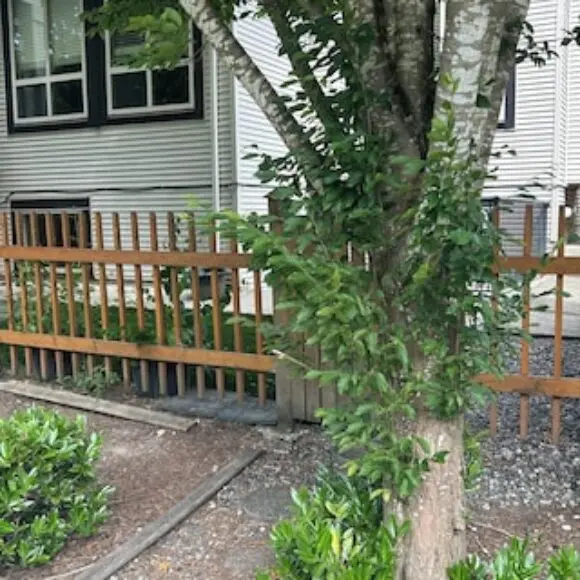 Spacious & Bright 2 Bedroom Suite With Full Kitchen And In-suite Laundry! | hotel Vancouver | Trivago