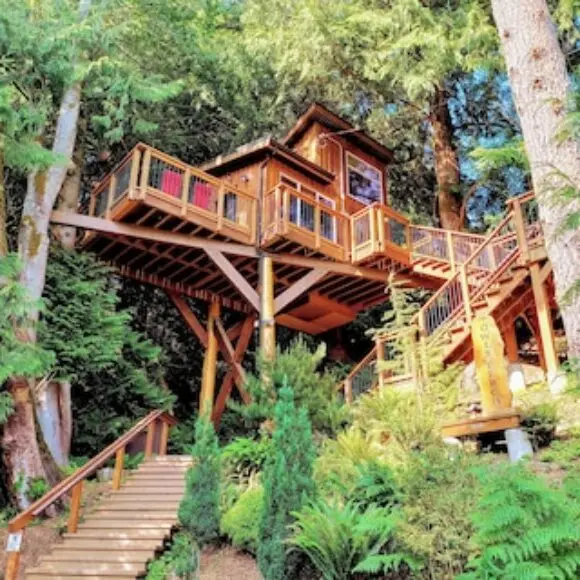 The Owl’s Perch Treehouse ~ Luxury Treetop Escape | hotel Vancouver | Trivago