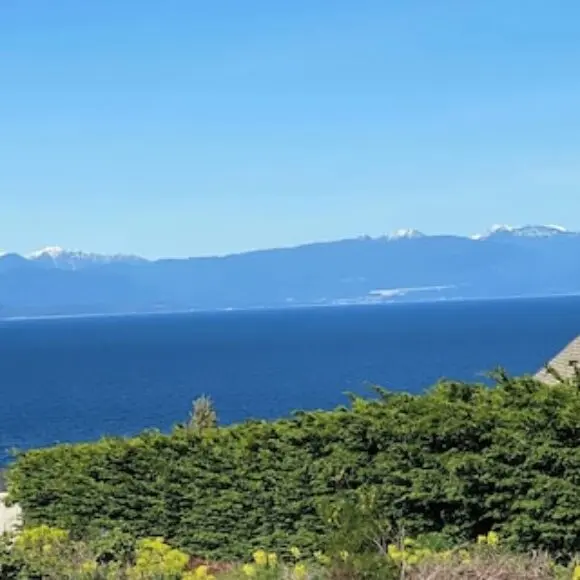 Stunning Oceanic Views Right Outside 4-minutes To Waterfrontpark Cozy Comfort! | hotel Vancouver | Trivago